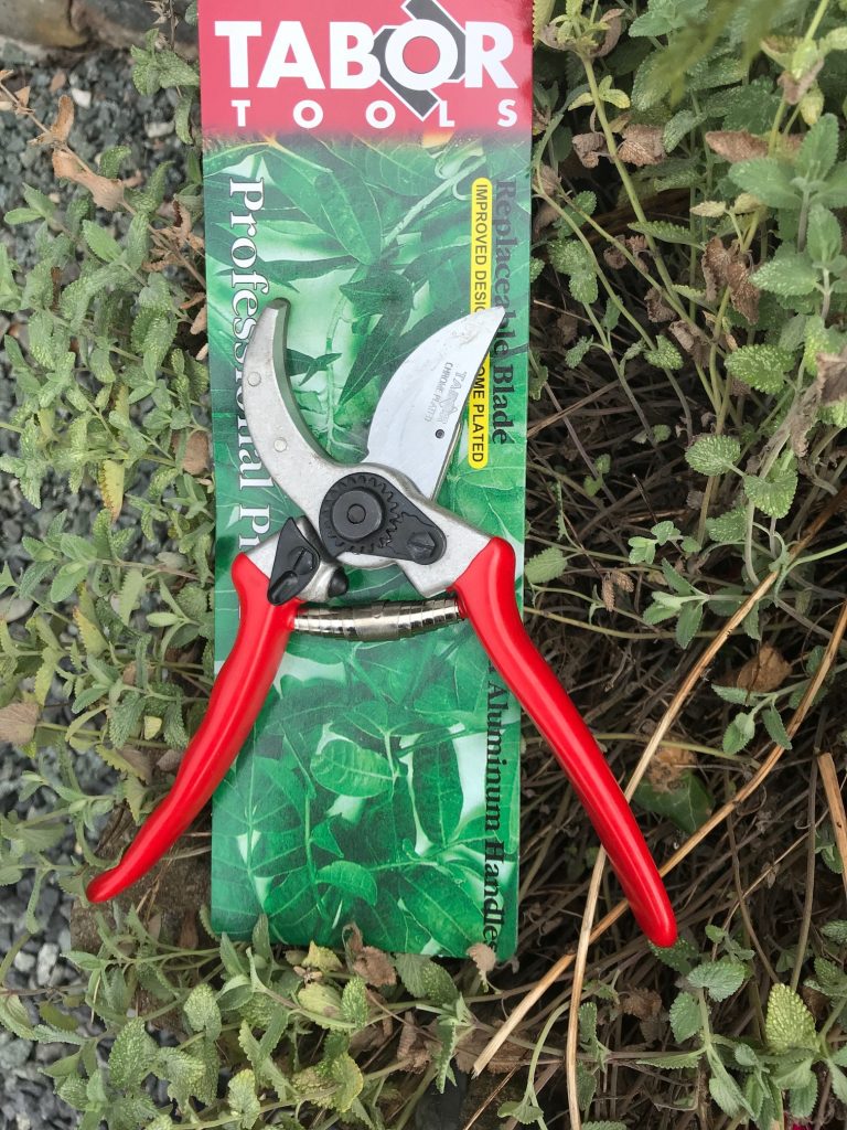 Tabor snips
