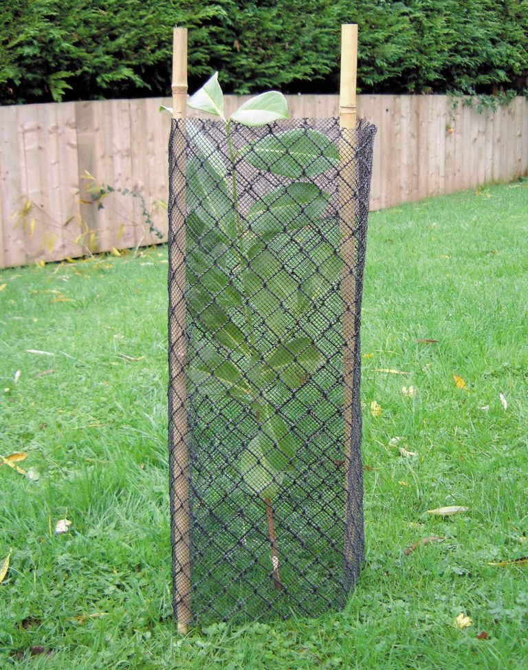 Buy Tree Shelters & Guards Online Farm Forestry