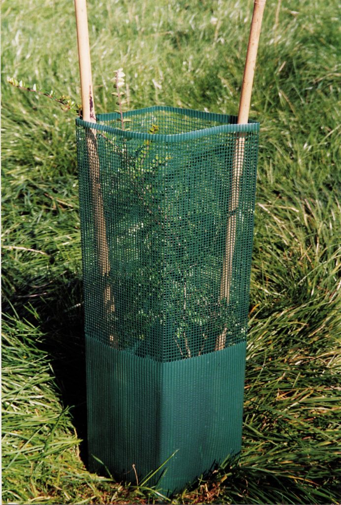 Balance Fine Mesh Shrub Shelter - 170mm & 'NEW' 150mm Diameters-15393